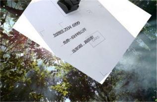 今日看料,揭秘最新资讯背后的故事